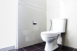 avantages du WC à sortie verticale